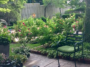 Community garden